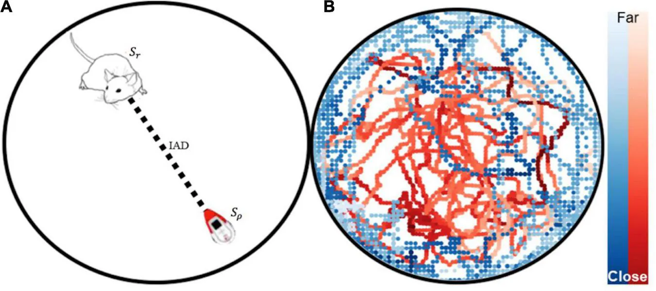 Neurorobotics rat-robot interaction figure