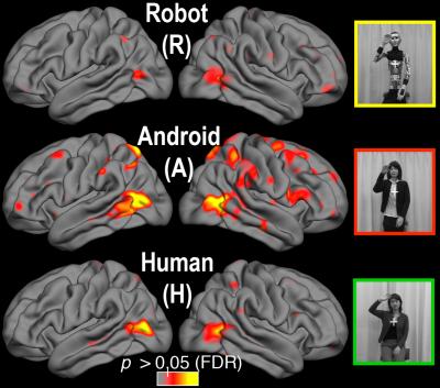 Uncanny valley brain imaging (Saygin et al.)